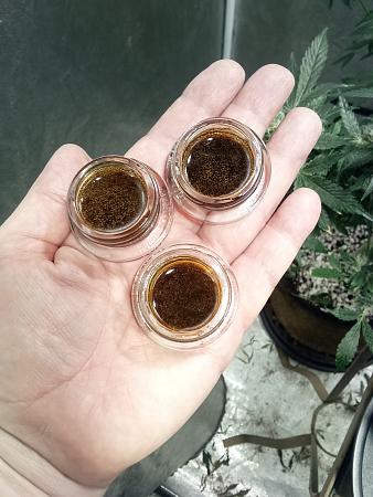 Click image for larger version

Name:	IMG_20251220_134139_338.jpg
Views:	26
Size:	1.96 MB
ID:	661058