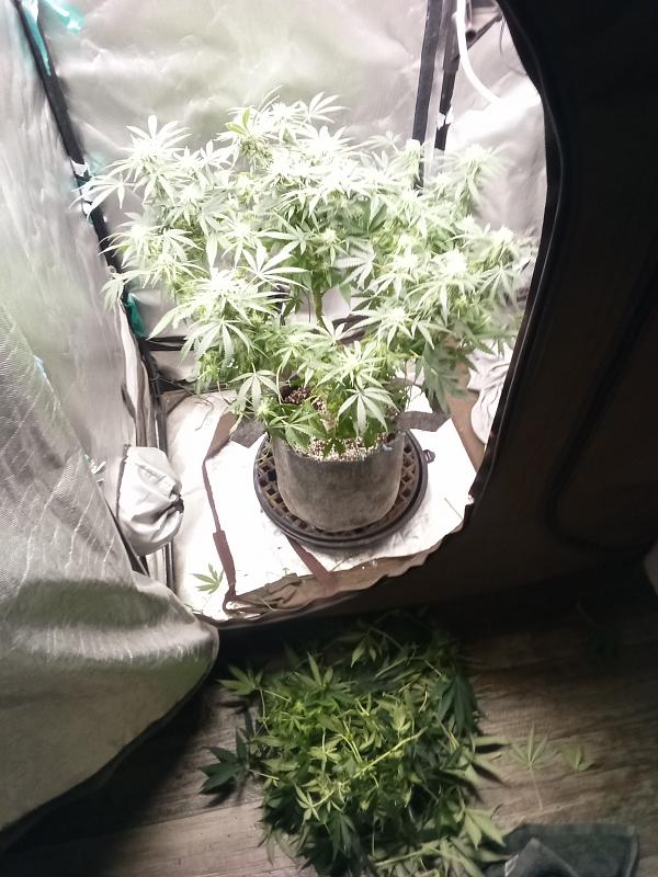 Click image for larger version

Name:	IMG_20251221_095436_364.jpg
Views:	5
Size:	1.89 MB
ID:	661088