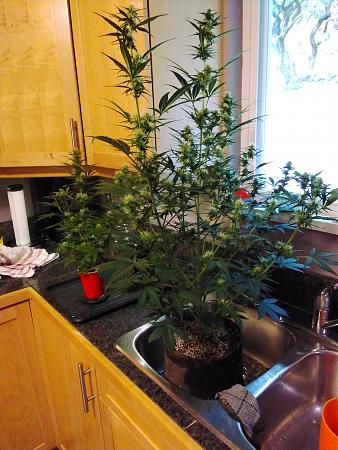 Click image for larger version

Name:	20200229_092913.jpg
Views:	931
Size:	1.60 MB
ID:	379873