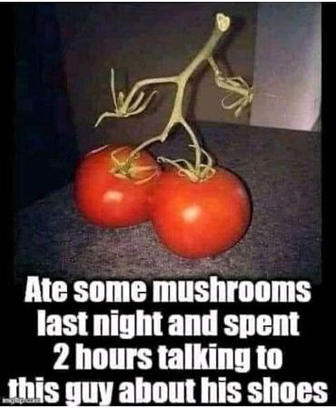 Click image for larger version

Name:	MUSHROOM SHOES.jpg
Views:	34
Size:	84.2 KB
ID:	661294