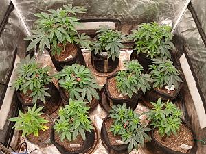 Click image for larger version

Name:	20251224_205952.jpg
Views:	4
Size:	4.64 MB
ID:	661365