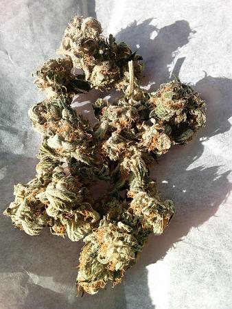 Click image for larger version

Name:	IMG_20251228_082632_835.jpg
Views:	103
Size:	2.23 MB
ID:	661492