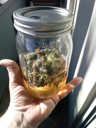 Click image for larger version

Name:	IMG_20251228_132049_558.jpg
Views:	51
Size:	1.82 MB
ID:	661505