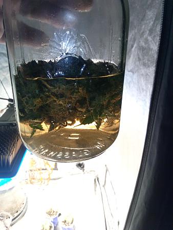 Click image for larger version

Name:	IMG_20251229_023424_386.jpg
Views:	46
Size:	1.65 MB
ID:	661527