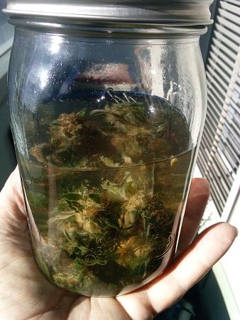 Click image for larger version  Name:	IMG_20251229_103802_106.jpg Views:	0 Size:	1.88 MB ID:	661532