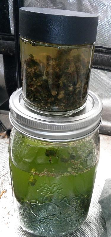 Click image for larger version

Name:	IMG_20260107_174256_586.jpg
Views:	32
Size:	1.09 MB
ID:	661948