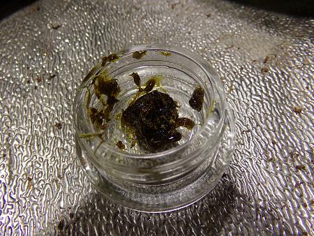 Click image for larger version  Name:	100_1055.jpg Views:	7 Size:	4.11 MB ID:	661969