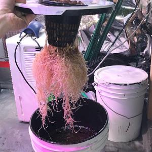 Click image for larger version

Name:	DEC47AF1-992B-427A-B3DA-6B2AE4A60F07.jpeg
Views:	327
Size:	326.4 KB
ID:	183826