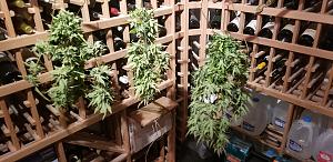 Click image for larger version

Name:	20260108_164316.jpg
Views:	8
Size:	1.86 MB
ID:	661986