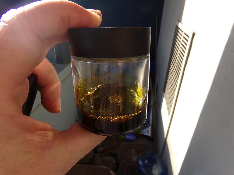 Click image for larger version  Name:	100_1056.jpg Views:	1 Size:	1.86 MB ID:	661991