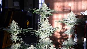 Click image for larger version

Name:	DSCN4684.JPG
Views:	539
Size:	2.00 MB
ID:	384629