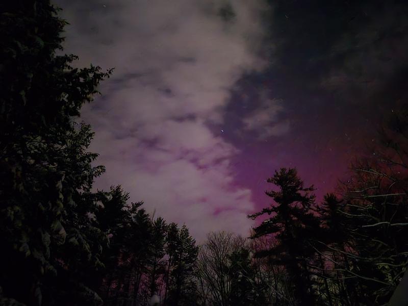 Click image for larger version

Name:	20260119_183128.jpg
Views:	16
Size:	1.41 MB
ID:	662254