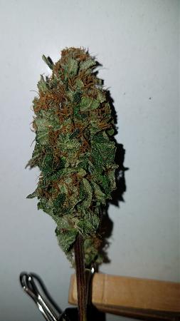 Click image for larger version

Name:	20181111_033140.jpg
Views:	261
Size:	1.46 MB
ID:	270662