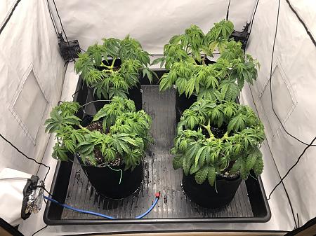 Click image for larger version

Name:	IMG_8730.jpg
Views:	115
Size:	2.61 MB
ID:	662296