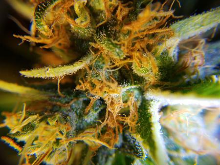 Click image for larger version

Name:	IMG_20181125_015101.jpg
Views:	257
Size:	1.57 MB
ID:	270664