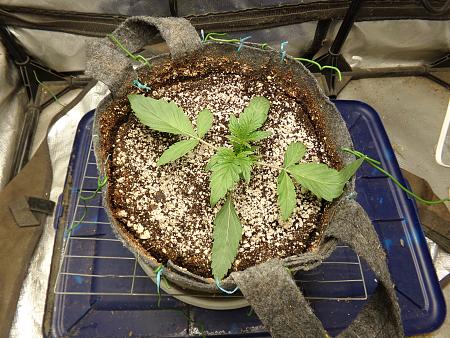 Click image for larger version

Name:	100_1072.jpg
Views:	13
Size:	4.10 MB
ID:	662490