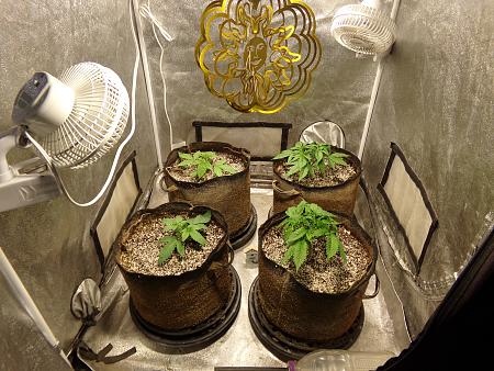 Click image for larger version

Name:	100_1073.jpg
Views:	10
Size:	4.07 MB
ID:	662491