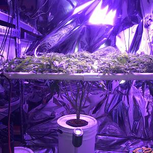 Click image for larger version

Name:	6AB9ECF2-F26F-4216-8AF4-45EF18A640CE.jpeg
Views:	304
Size:	1.66 MB
ID:	187864