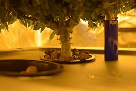 Click image for larger version

Name:	DSC_0441.JPG
Views:	560
Size:	5.80 MB
ID:	61174