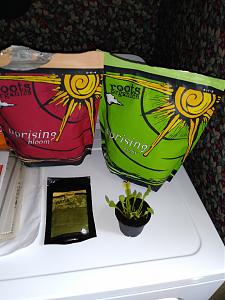 Click image for larger version

Name:	20180919_152036.jpg
Views:	252
Size:	1.54 MB
ID:	250568