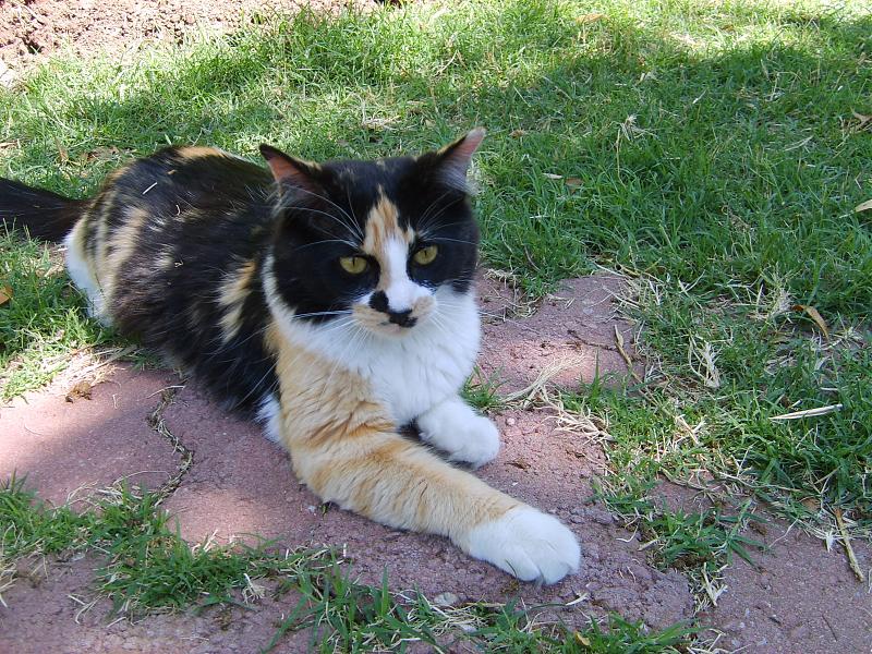 Click image for larger version

Name:	Sophie 1.jpg
Views:	737
Size:	1.83 MB
ID:	350998