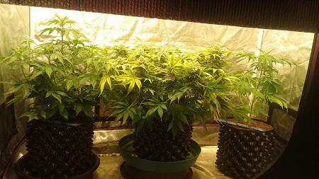 Click image for larger version

Name:	20180804_091940.jpg
Views:	298
Size:	691.0 KB
ID:	233275