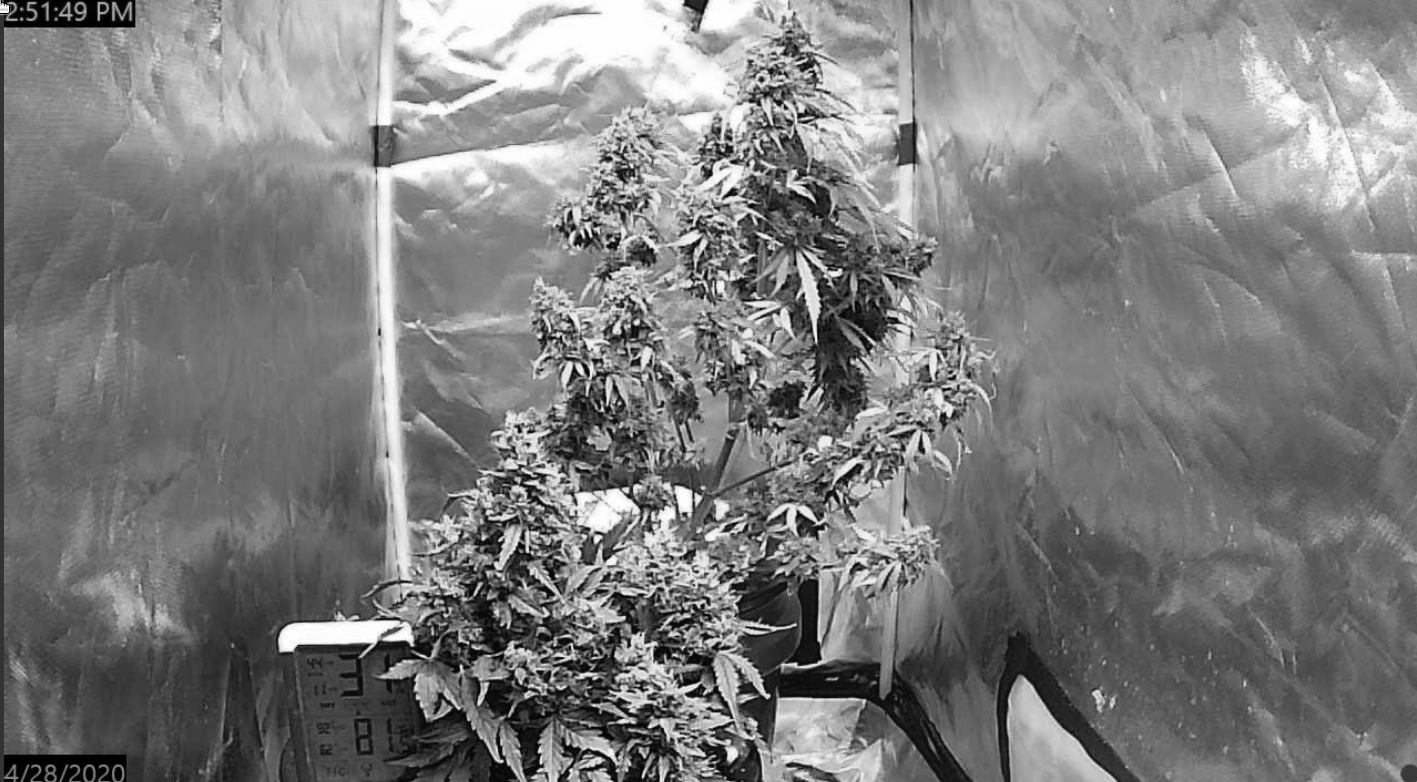 Click image for larger version

Name:	image_104059.png
Views:	241
Size:	1.01 MB
ID:	399547