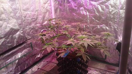 Click image for larger version

Name:	20180804_091925.jpg
Views:	273
Size:	992.9 KB
ID:	233274