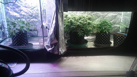 Click image for larger version

Name:	20180728_053237.jpg
Views:	251
Size:	683.8 KB
ID:	231017