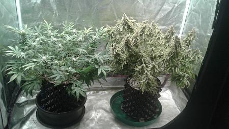 Click image for larger version

Name:	20180712_083341.jpg
Views:	266
Size:	752.5 KB
ID:	225622