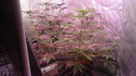 Click image for larger version

Name:	20180813_103430.jpg
Views:	248
Size:	902.2 KB
ID:	235910