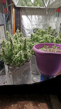 Click image for larger version

Name:	Screenshot_20170224-202840.png
Views:	238
Size:	5.41 MB
ID:	60597