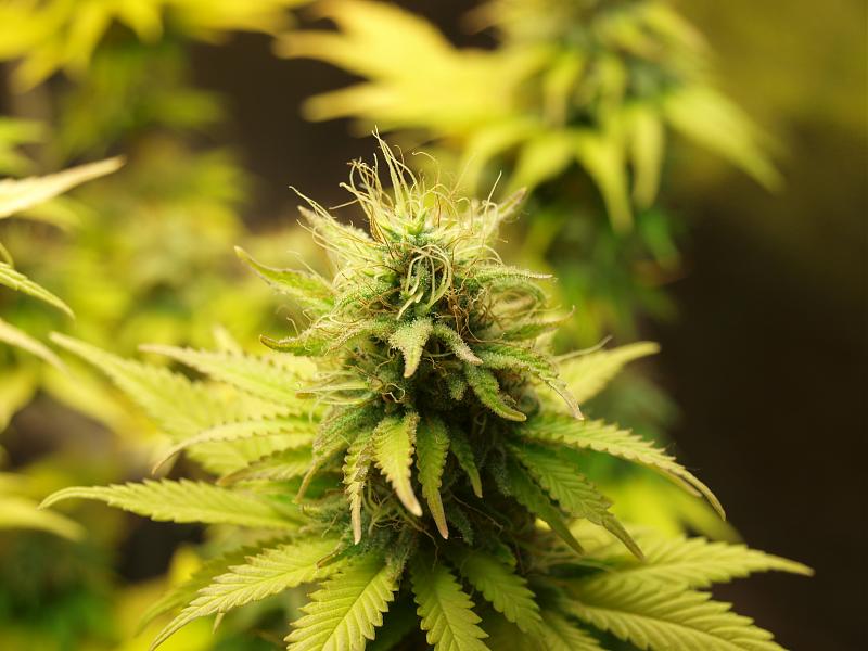 Click image for larger version

Name:	18.01.19 #5.JPG
Views:	337
Size:	1.34 MB
ID:	284730