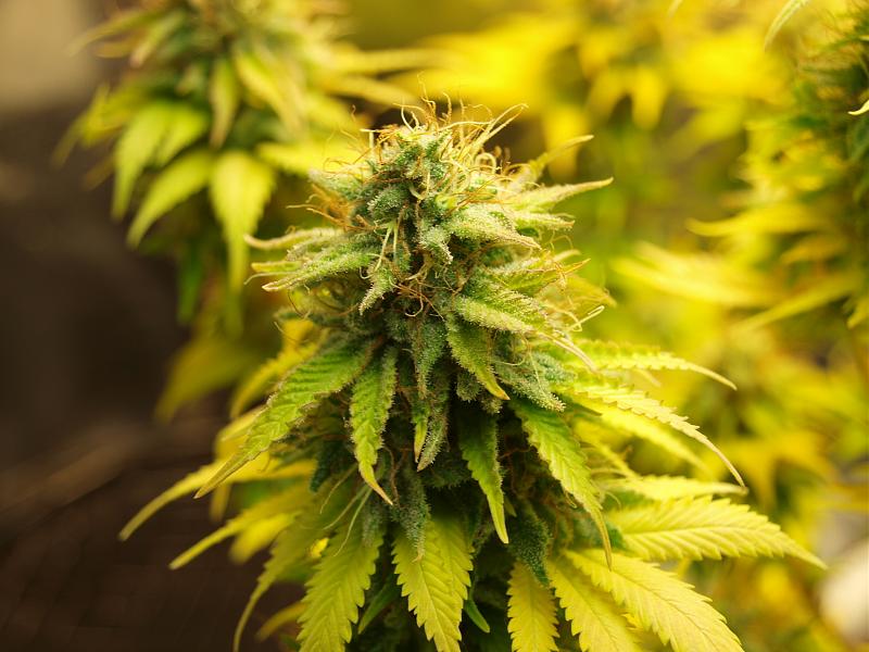 Click image for larger version

Name:	22.01.19 #8.JPG
Views:	320
Size:	1.44 MB
ID:	285808