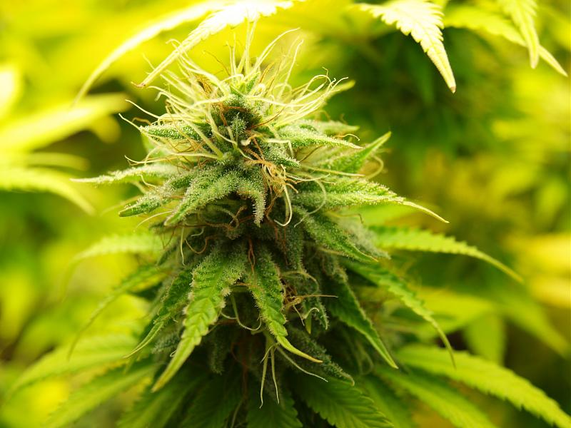 Click image for larger version

Name:	12.01.19 #1.JPG
Views:	328
Size:	1.40 MB
ID:	283504