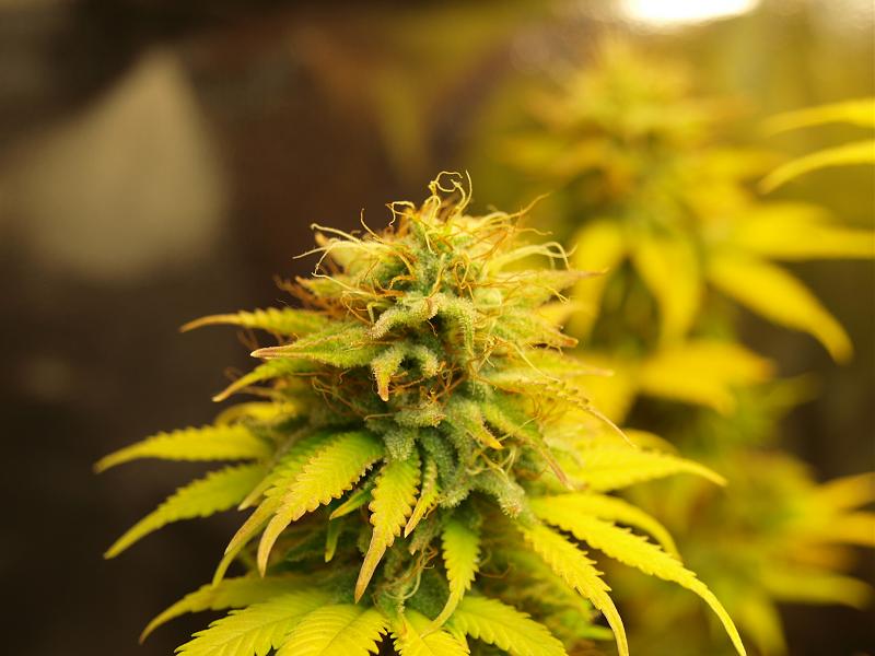 Click image for larger version

Name:	22.01.19 #4.JPG
Views:	347
Size:	1.32 MB
ID:	285802