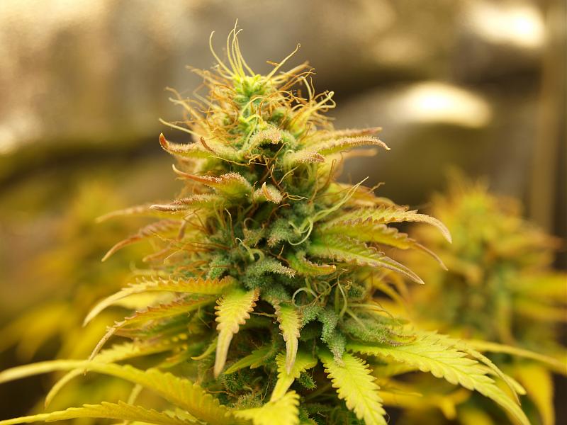 Click image for larger version

Name:	22.01.19 #3.JPG
Views:	316
Size:	1.47 MB
ID:	285805