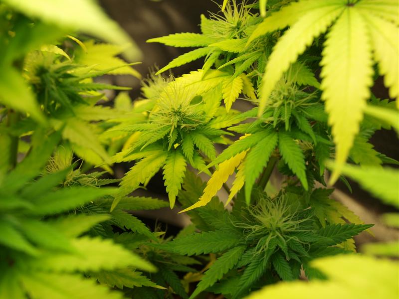 Click image for larger version

Name:	03.01.19 #4.JPG
Views:	358
Size:	1.35 MB
ID:	281107