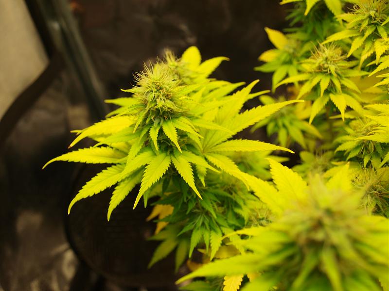 Click image for larger version

Name:	11.01.19 #7.JPG
Views:	338
Size:	1.33 MB
ID:	283183