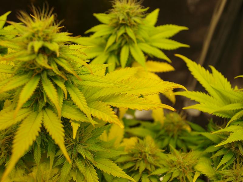 Click image for larger version

Name:	11.01.19 #6.JPG
Views:	346
Size:	1.44 MB
ID:	283186