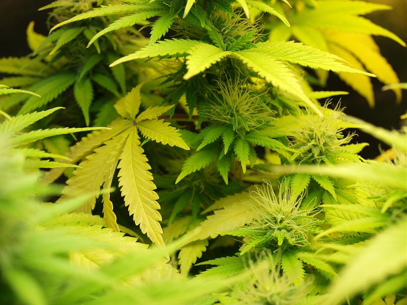 Click image for larger version

Name:	03.01.19 #2.JPG
Views:	317
Size:	1.44 MB
ID:	281106