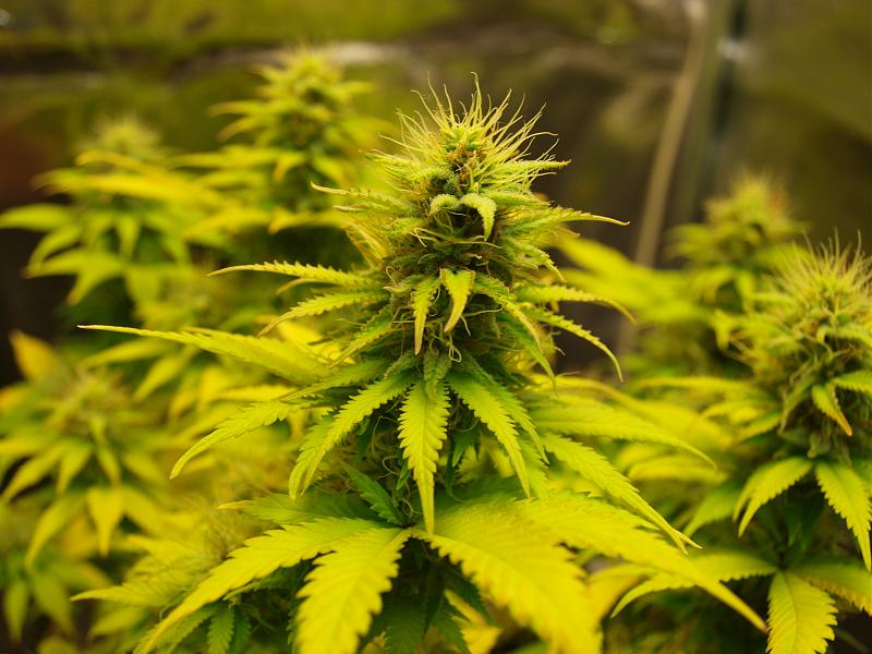 Click image for larger version

Name:	11.01.19 #5.JPG
Views:	362
Size:	1.45 MB
ID:	283182