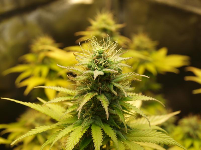 Click image for larger version

Name:	18.01.19 #6.JPG
Views:	351
Size:	1.36 MB
ID:	284729