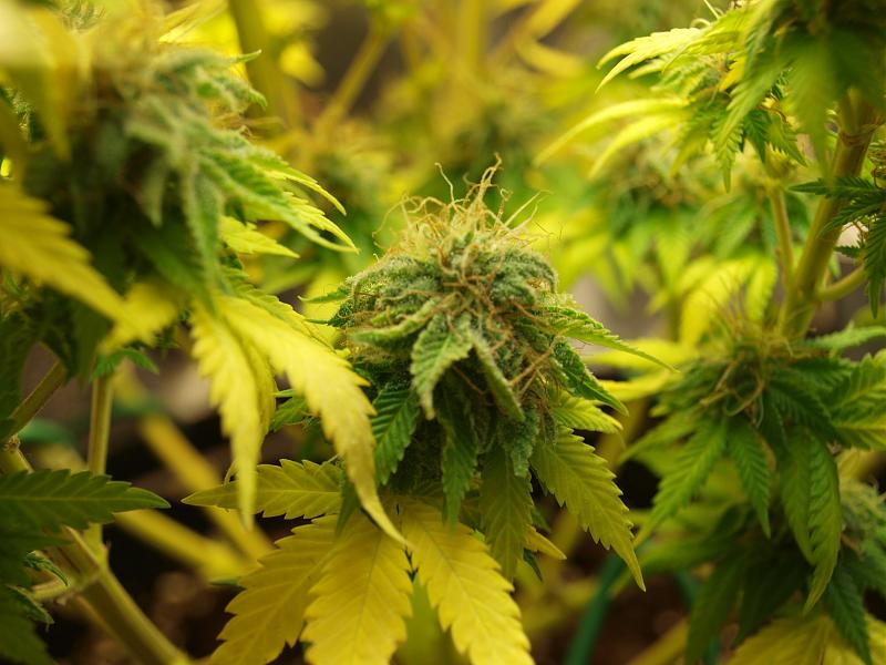 Click image for larger version

Name:	18.01.19 #9.JPG
Views:	324
Size:	1.41 MB
ID:	284734