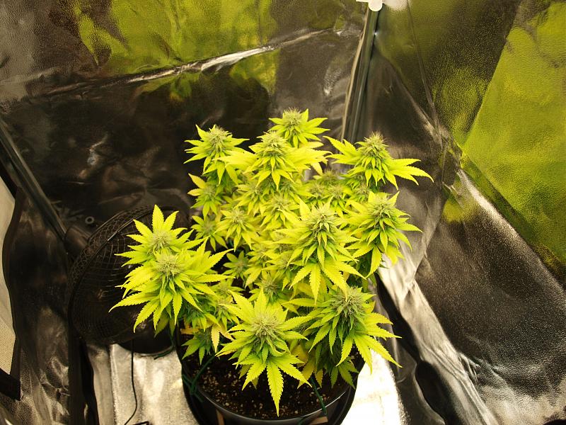 Click image for larger version

Name:	11.01.19 #1.JPG
Views:	311
Size:	2.01 MB
ID:	283187