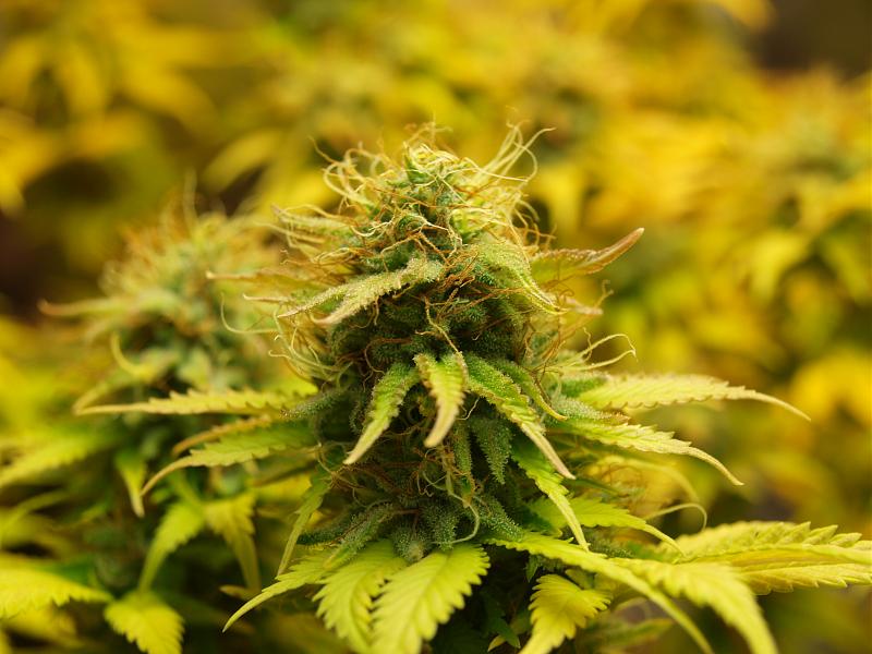 Click image for larger version

Name:	22.01.19 #1.JPG
Views:	318
Size:	1.45 MB
ID:	285803