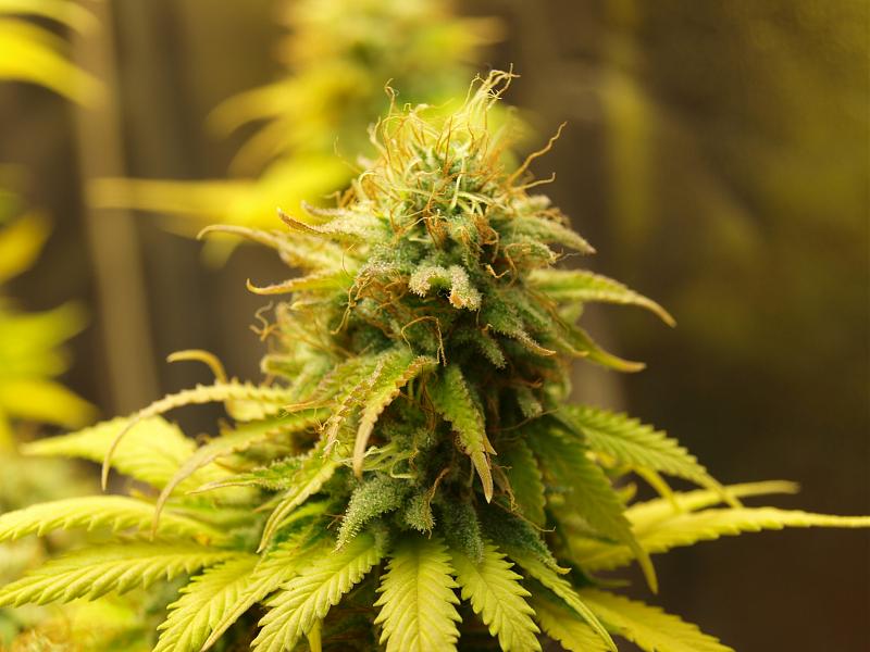 Click image for larger version

Name:	22.01.19 #6.JPG
Views:	316
Size:	1.45 MB
ID:	285806