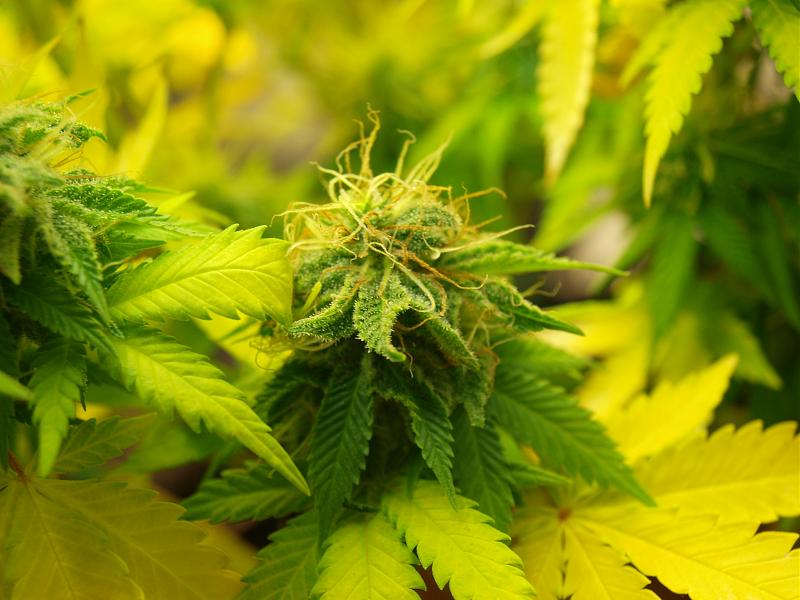 Click image for larger version

Name:	12.01.19 #2.JPG
Views:	334
Size:	1.48 MB
ID:	283505