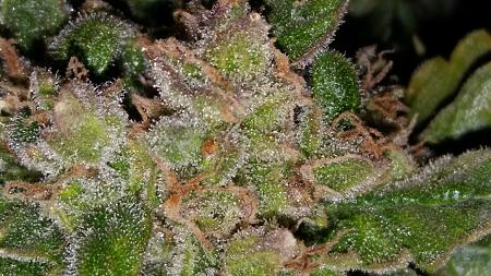 Click image for larger version

Name:	20170330_063415.jpg
Views:	300
Size:	5.22 MB
ID:	73636