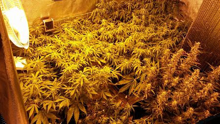 Click image for larger version

Name:	20170330_070042.jpg
Views:	285
Size:	8.46 MB
ID:	73632